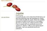 B-Jujube,jpg