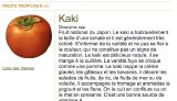 B-Kaki,jpg