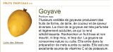 B- Goyave