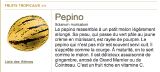 B- Pepino
