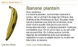 B-Banane Plantin