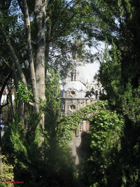 19_3 Guadaloupe  058.jpg