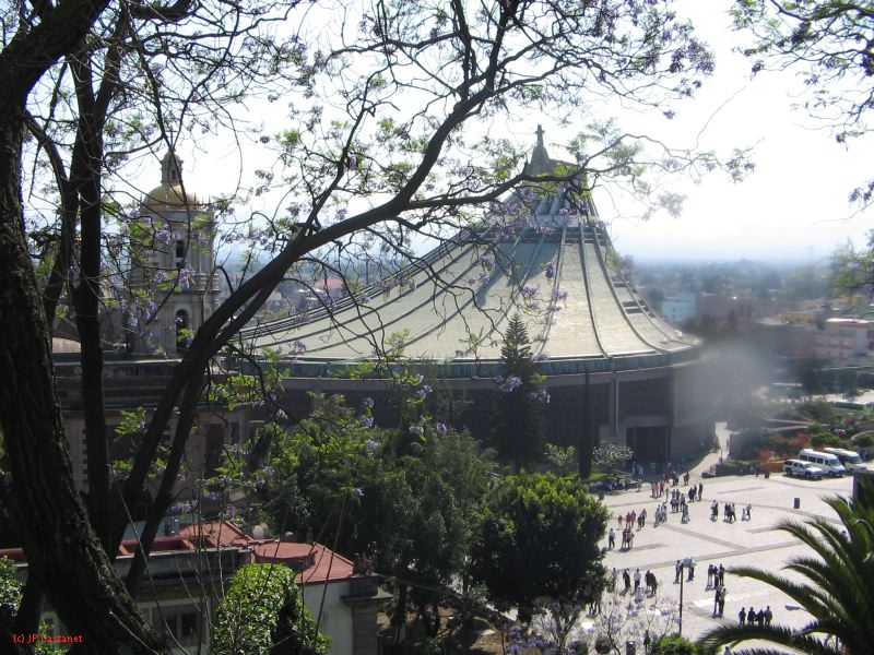 19_3 Guadaloupe  087.jpg