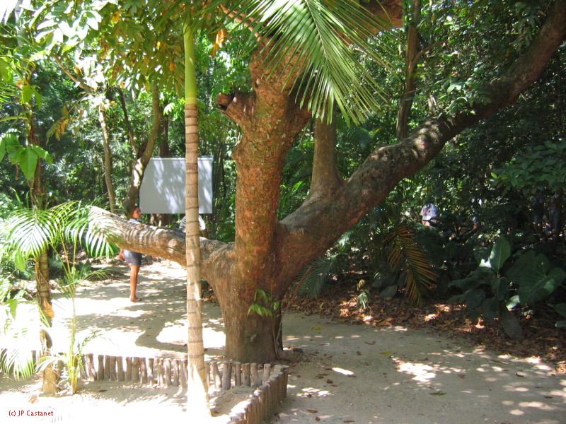 22_3  La Venta  014.jpg