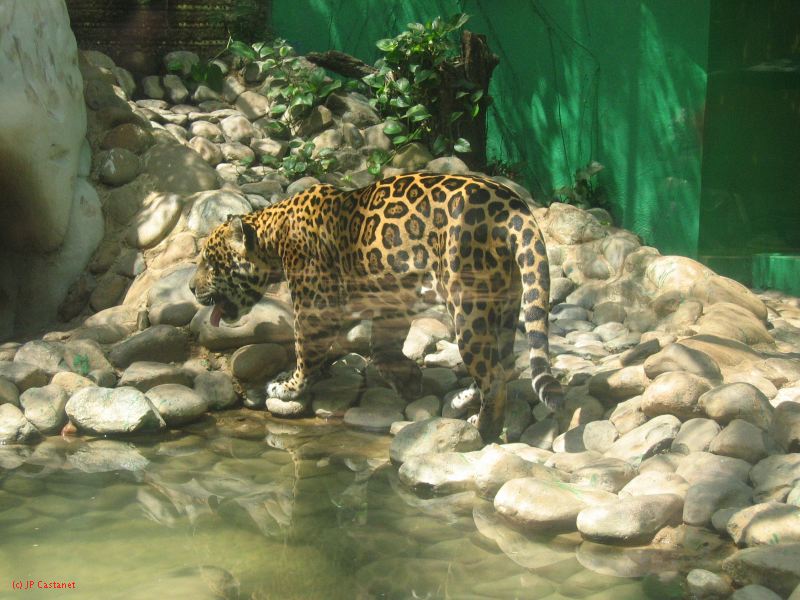 22_3  La Venta  151.jpg