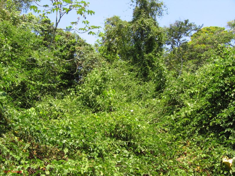 22_3  La Venta  019.jpg