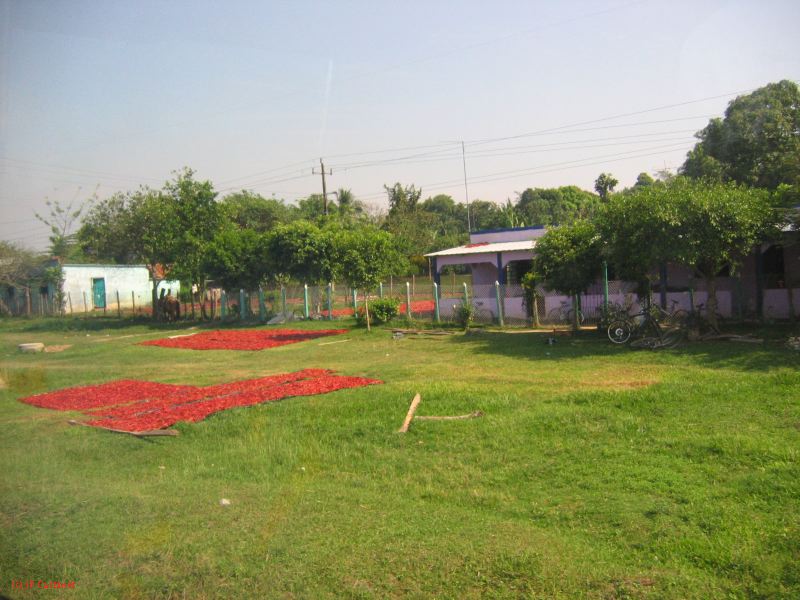 22_3  La Venta  219.jpg