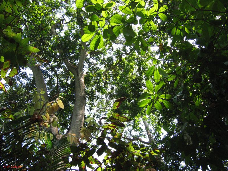 22_3  La Venta  023.jpg