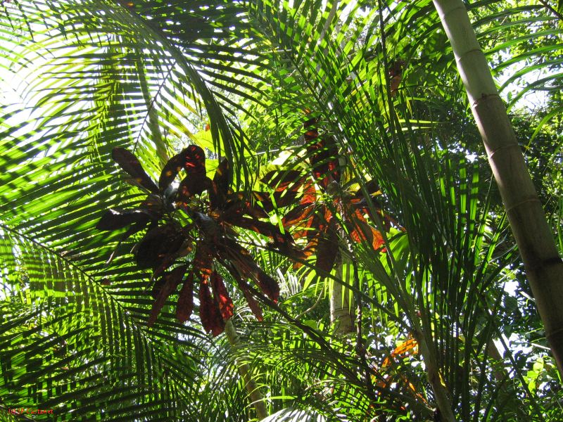 22_3  La Venta  028.jpg