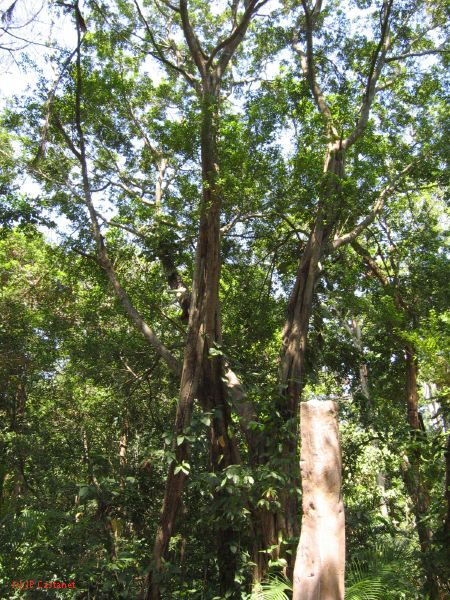 22_3  La Venta  004.jpg