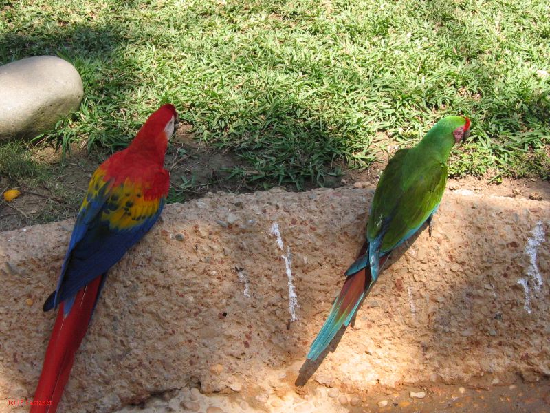 22_3  La Venta  054.jpg