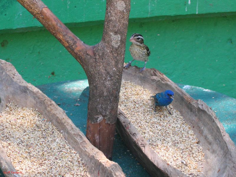 22_3  La Venta  063.jpg