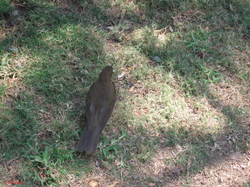 22_3  La Venta  065.jpg