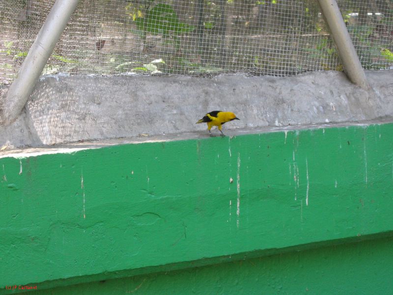 22_3  La Venta  066.jpg