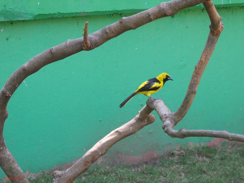 22_3  La Venta  071.jpg