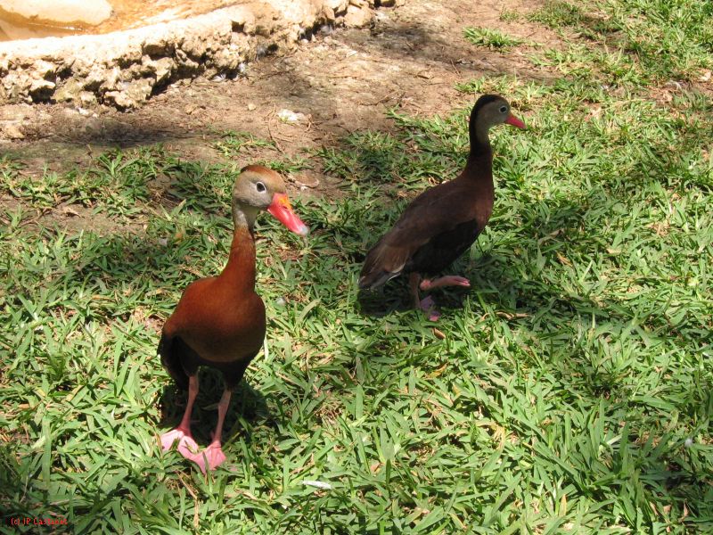 22_3  La Venta  074.jpg