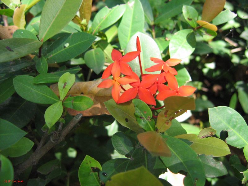 22_3  La Venta  086.jpg