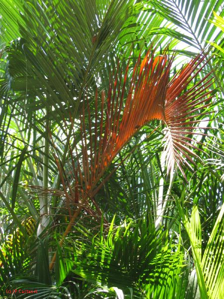 22_3  La Venta  091.jpg