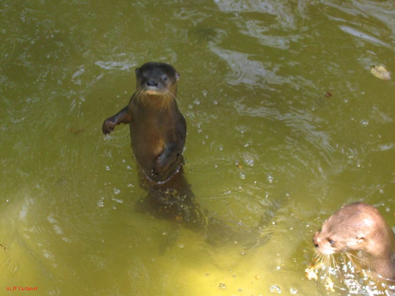 22_3  La Venta  097.jpg