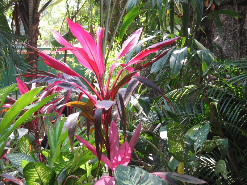 22_3  La Venta  111.jpg