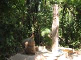 22_3  La Venta  001.jpg