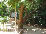 22_3  La Venta  014.jpg