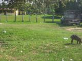 22_3  La Venta  221.jpg