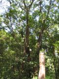 22_3  La Venta  004.jpg
