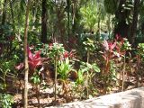 22_3  La Venta  038.jpg