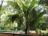 22_3  La Venta  044.jpg