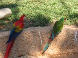 22_3  La Venta  054.jpg