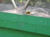 22_3  La Venta  068.jpg