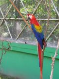 22_3  La Venta  083.jpg