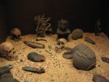 IMG_0780.jpg