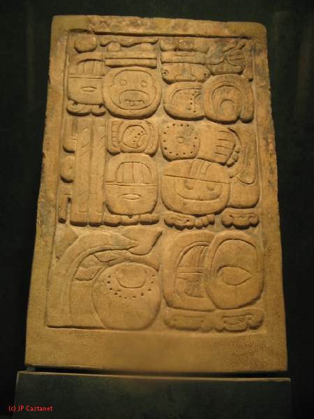19_3  Antropo  224.jpg