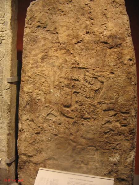 19_3  Antropo  229.jpg