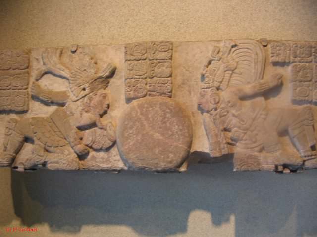19_3  Antropo  239.jpg