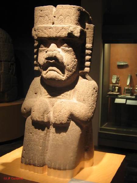 19_3  Antropo  274.jpg