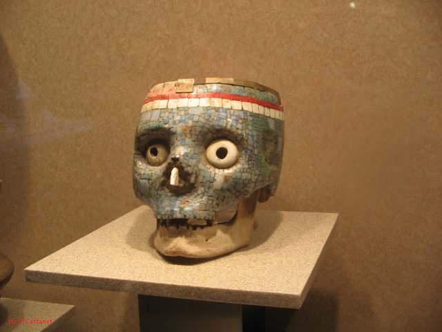 19_3  Antropo  313.jpg
