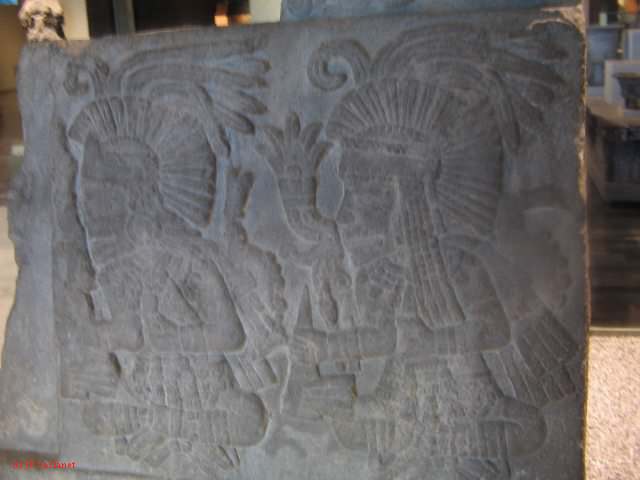 19_3  Antropo  324.jpg