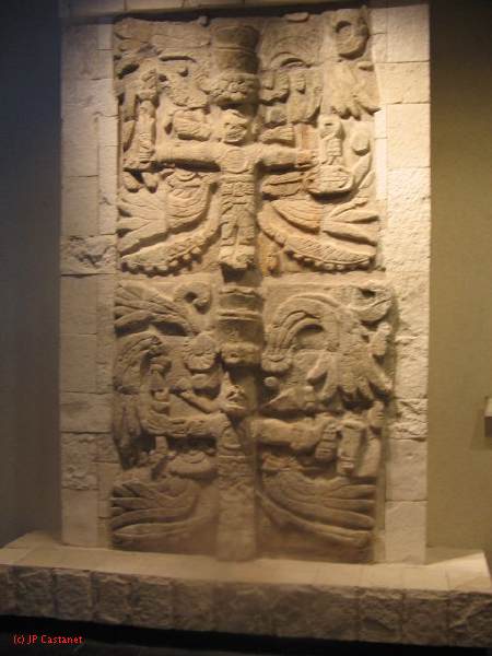 19_3  Antropo  381.jpg