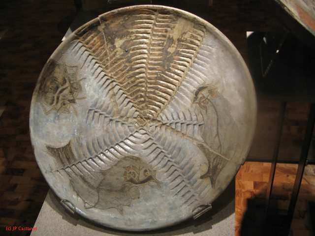 19_3  Antropo  080.jpg