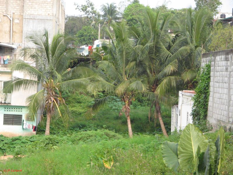 23_3 Musée Pallenque  146.jpg