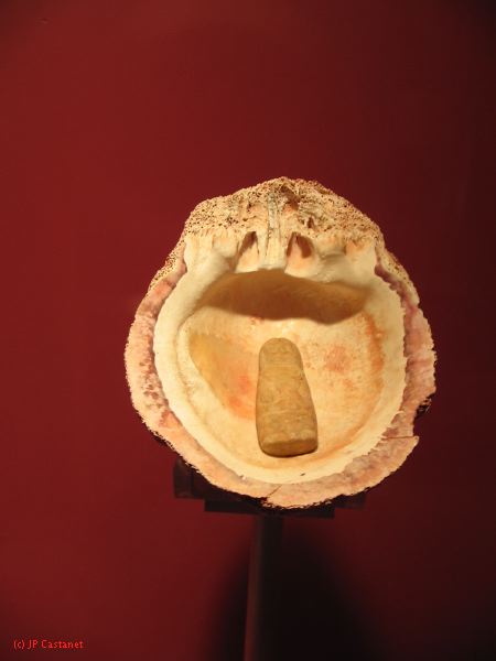 23_3 Musée Pallenque  028.jpg