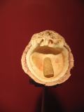 23_3 Musée Pallenque  028.jpg
