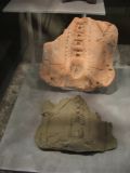 23_3 Musée Pallenque  049.jpg