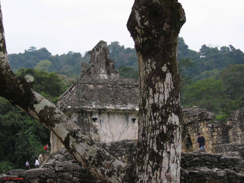 23_3 Site Pallenque  119.jpg
