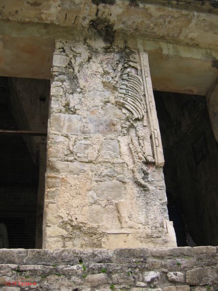 23_3 Site Pallenque  128.jpg