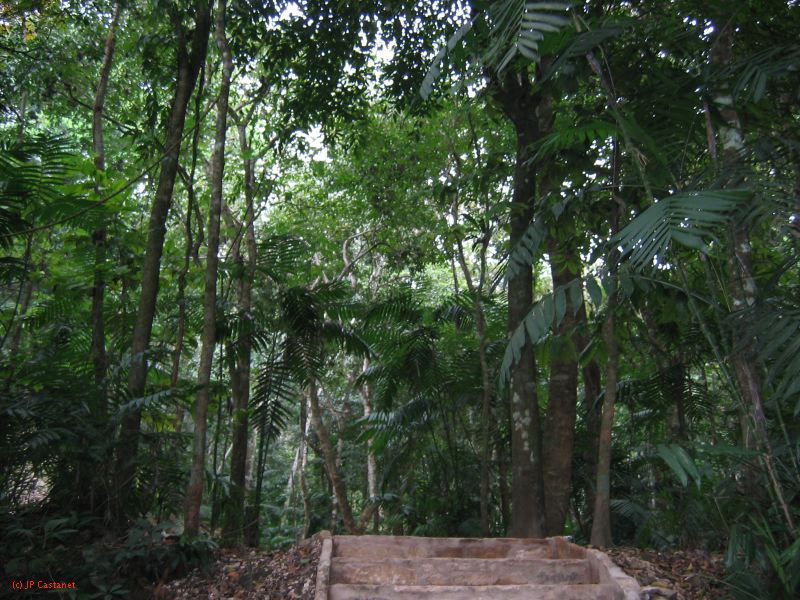 23_3 Site Pallenque  157.jpg