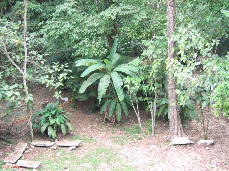 23_3 Site Pallenque  178.jpg